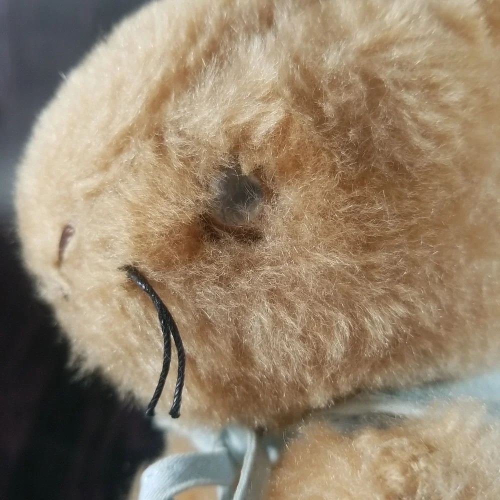Vintage Stuffed Plush Animal Bunny Peter Rabbit Musical Wind Up Eden Toys READ